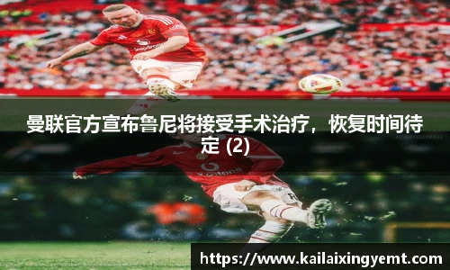 BB贝博登录入口