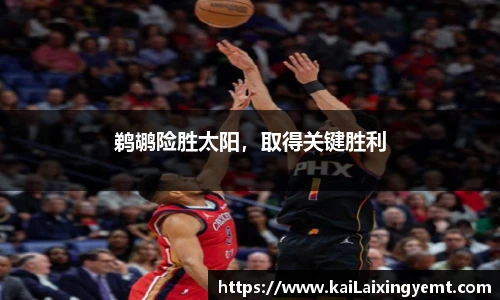 BB贝博登录入口
