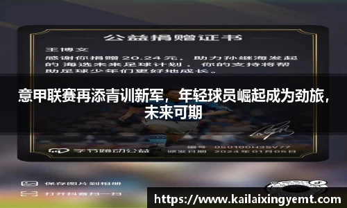 BB贝博登录入口