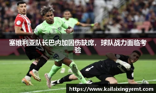 BB贝博登录入口