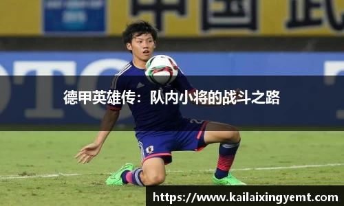 BB贝博登录入口