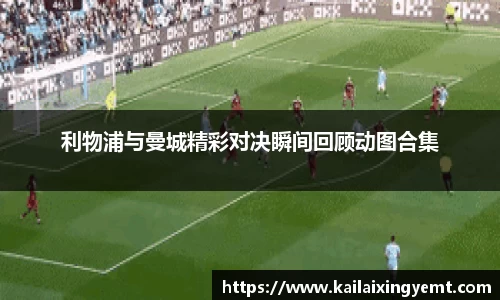 BB贝博登录入口