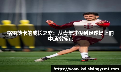 BB贝博ballbet