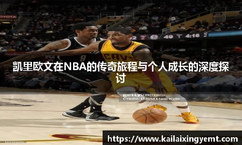BB贝博登录入口