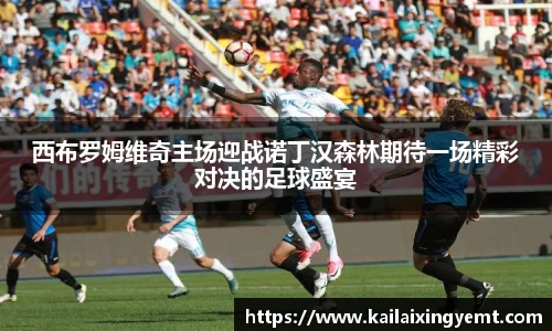 BB贝博登录入口