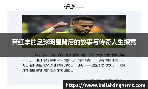 BB贝博登录入口